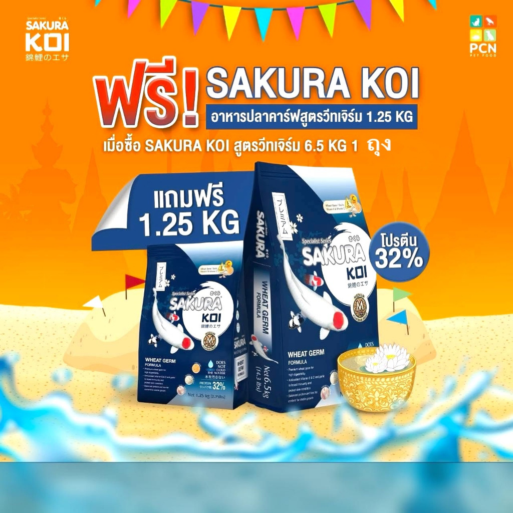 Sakura koi อาหารปลา สูตรวีทเจิร์ม ขนาด 6.5kg.แถมฟรีถุง 1.25kg.( WHEAT GERM )💥ผลิตใหม่ หมดอายุ 2026-2027