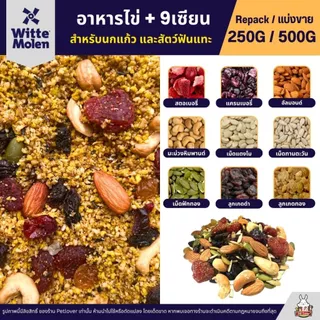 Expert Egg Food อาหารไข่ สูตร 9 เซียน อาหารนกแก้วเสริมโปรตีน (แบ่งขาย 250G / 500G)