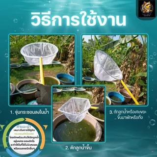 กรชอนตาห่าง ขนาด 9.5 นิ้ว และ 12 นิ้ว สำหรับ ตักลูกน้ำ แบบกลมและเหลี่ยม