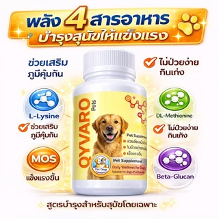 อาหารเสริมสุนัขผอม เบื่ออาหาร เพิ่มน้ำหนัก เสริมกล้ามเนื้อ QYVARO Beta Glucan Lysine MOS สูตรสุนัข