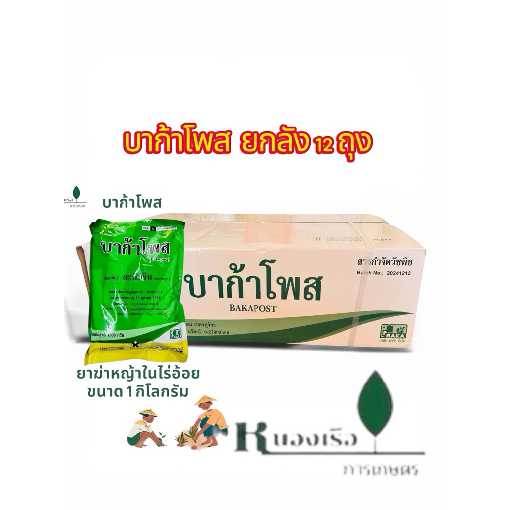 BAKA บาก้าโพส ยกลัง(12ถุงx1กก.)กำจัดวัชพืชในไร่อ้อยทั้งใบแคบและใบกว้าง