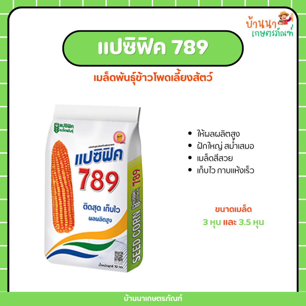 เมล็ดพันธุ์ข้าวโพด แปซิฟิค 789 ผลผลิตสูง ฝักใหญ่ ลำต้นและรากแข็งแรง