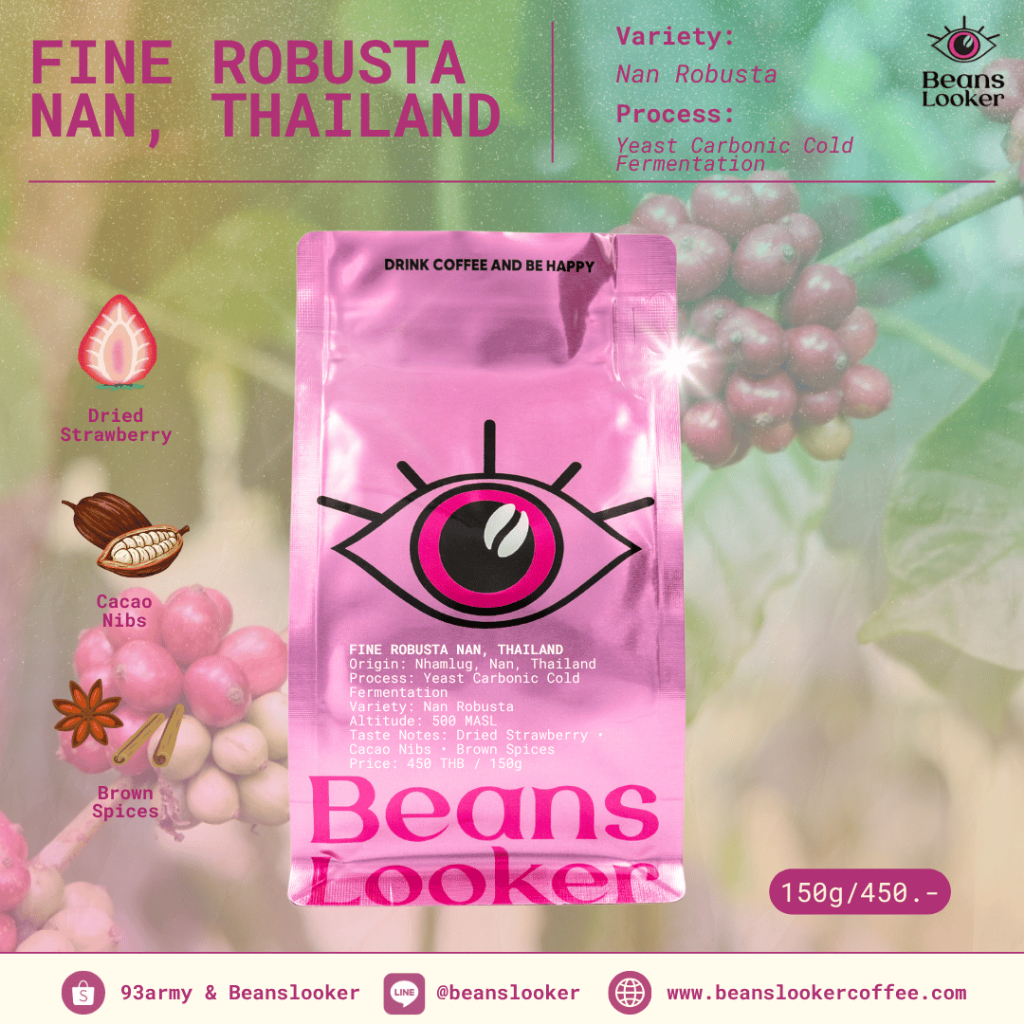เมล็ดกาแฟโรบัสต้า น่าน รางวัลอันดับ 1 TCE 2024 | Fine Robusta | Yeast Carbonic Cold Fermentation 150g