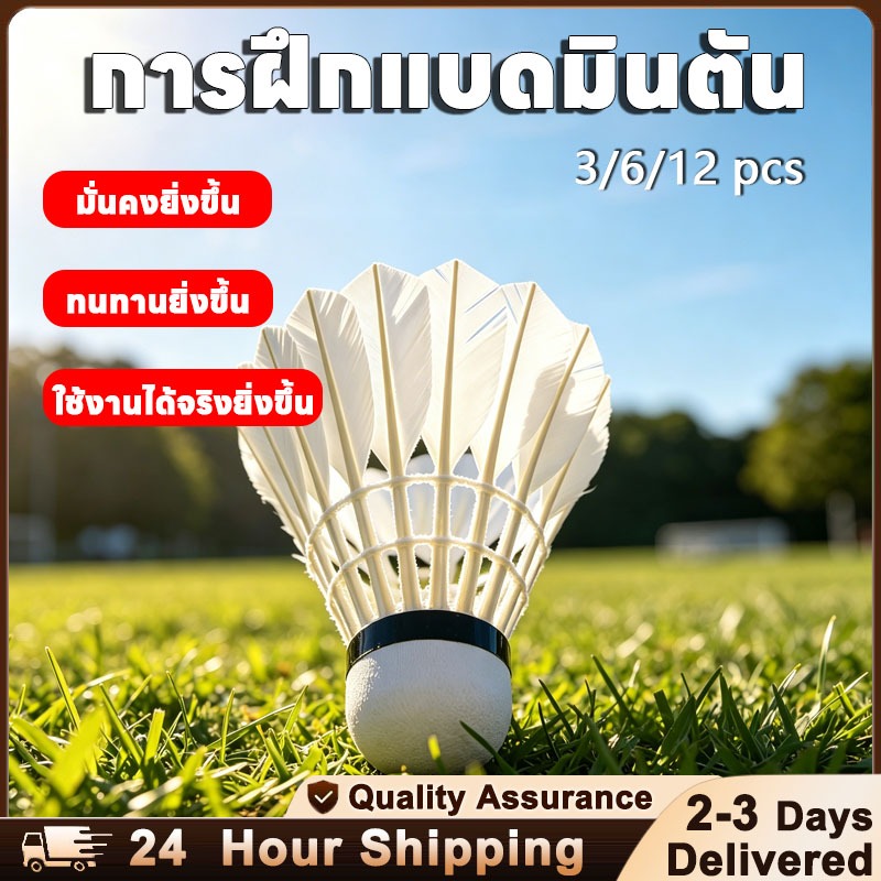 ลูกแบดมินตัน แพ็ค 3/6/12 ชิ้น สำหรับการฝึกอบรม ในร่มกลางแจ้ง