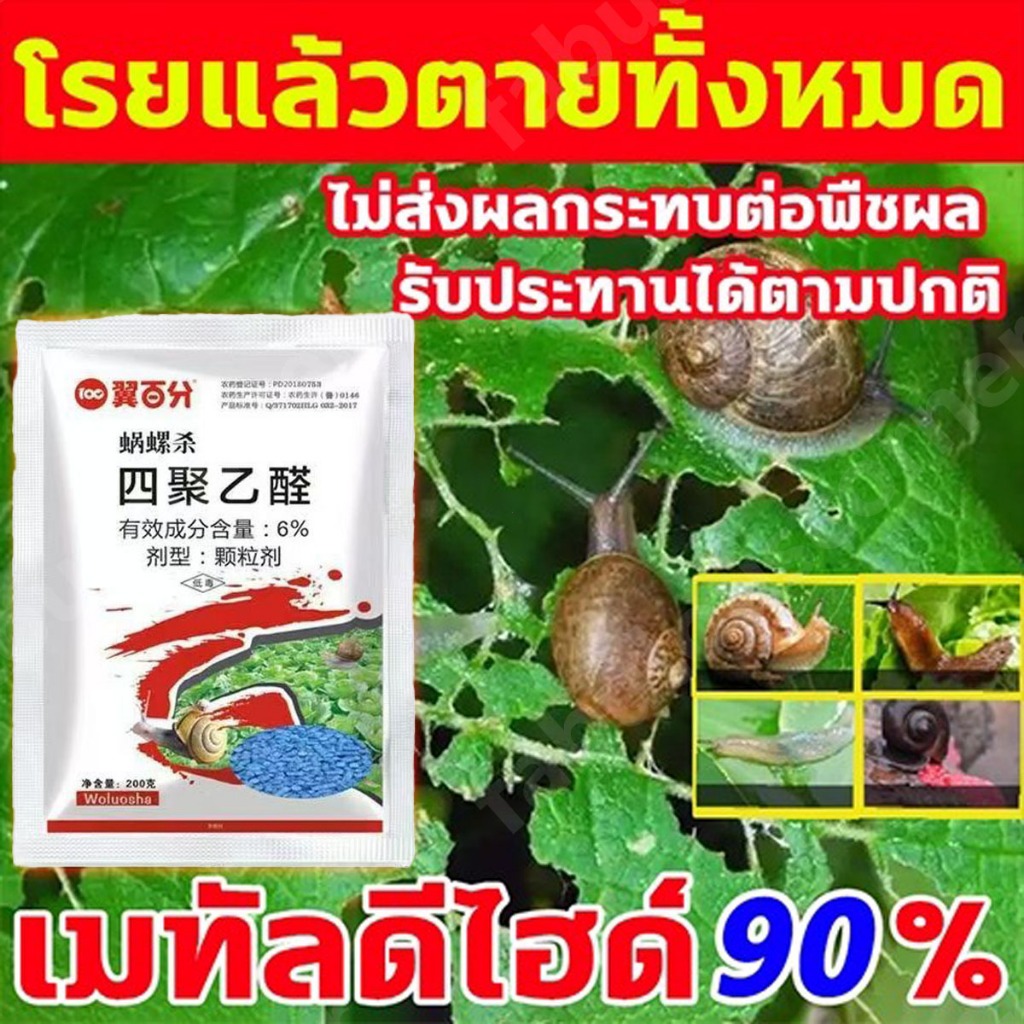เห็นผล100% เหยื่อกำจัดหอย 500g กำจัดหอย กำจัดหอยทาก ยาหอย หอยศัตรูพืช ยาฆ่าหอย เหยื่อกำจัดหอย หอยเชอรี่ หอยศัตรูพืช