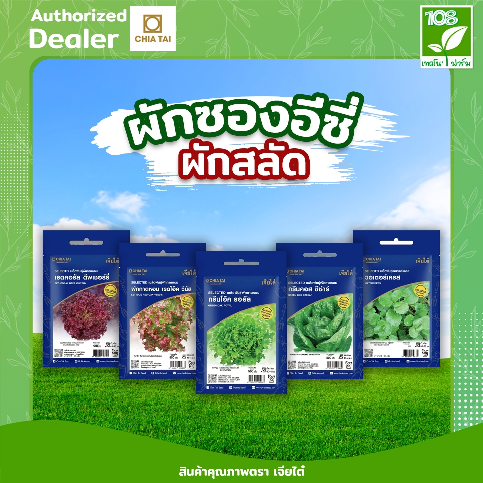 ผักซองอีซี่ (Easy) รวม เมล็ดพันธ์ุผักสลัด ตราเจียไต๋