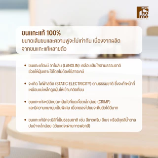 Munhome Wool Duster ไม้ปัดฝุ่นขนแกะแท้ 100% (พร้อมจัดส่ง‼️)