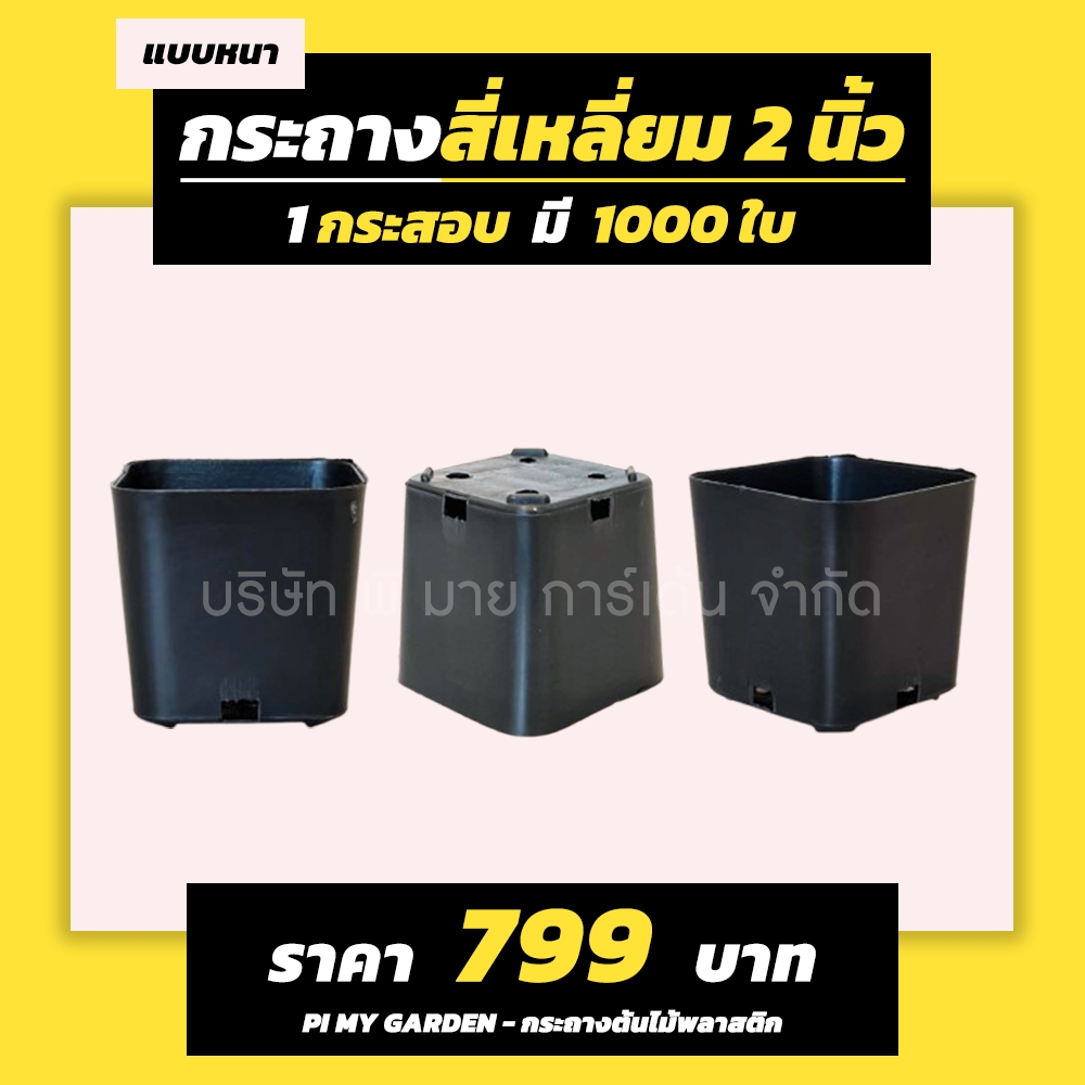 กระถางแคคตัส ทรงสี่เหลี่ยม 2 นิ้ว สีดำ แพ็ค 1000 ใบ