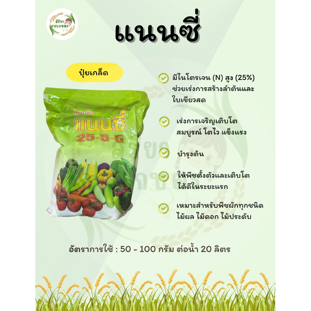 แนนซี่ ปุ๋ยเกล็ด 25-5-5 1 kg เร่งการเจริญเติบโต บำรุงต้น เหมาะสำหรับพืชผักทุกชนิด