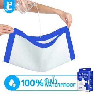 [ส่งฟรี🇹🇭] CleverPet แผ่นรองฉี่สุนัข แผ่นรองฉี่แมว Dog Training Pad
