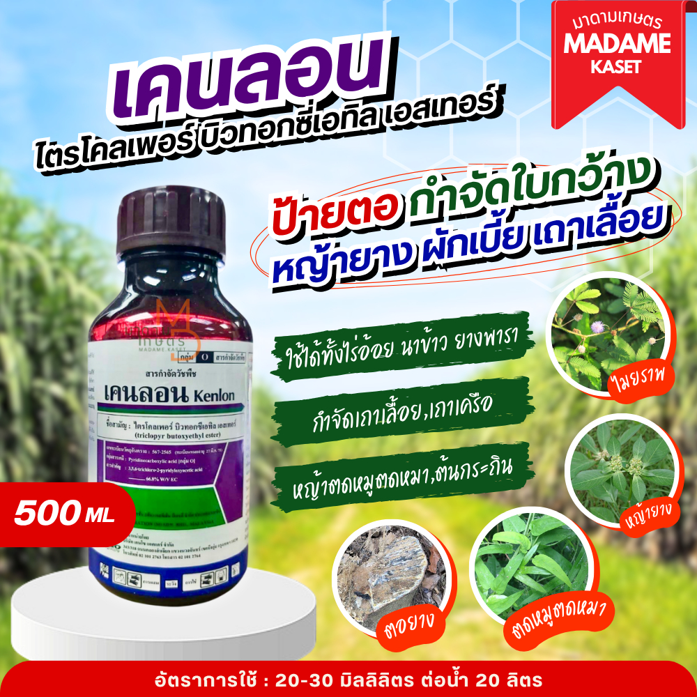 ใหม่! เคนลอน 500ml. (ไตรโคลเพอร์ บิวทอกซี่เอทิล เอสเทอร์) ยาป้ายตอ กำจัดวัชพืชใบกว้าง เถาเลื้อย ใช้ในอ้อยและนาข้าวได้