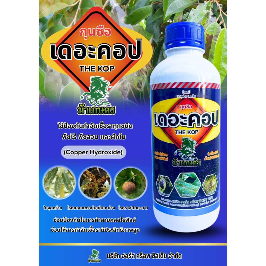 คอปเปอร์น้ำ 12 ขวด กำจัดเชื้อราและแบคทีเรีย เก่งแคงเกอร์ ขอบใบแห้ง แอนแทรคโนส ใช้ในพืชทุกชนิด