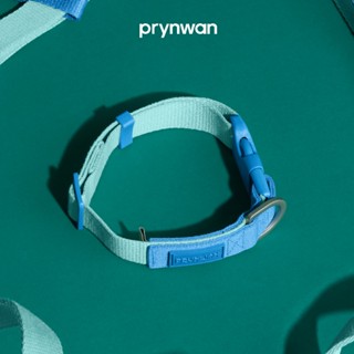 PRYNWAN Pets - Dog Collar Two Tone ปลอกคอ สัตว์เลี้ยง สีมิ้น…
