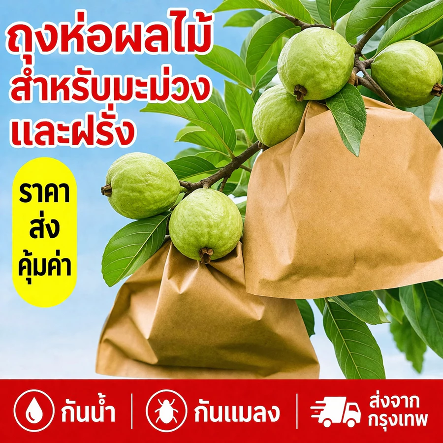 จัดส่งจากกรุงเทพ ถุงกระดาษคาร์บอนห่อผลไม้ 20x30 ซม. แพ็ค 100 ใบ สำหรับมะม่วง ฝรั่ง กันแมลงวันทอง กันน้ำ บังแสง ป้องกันนก