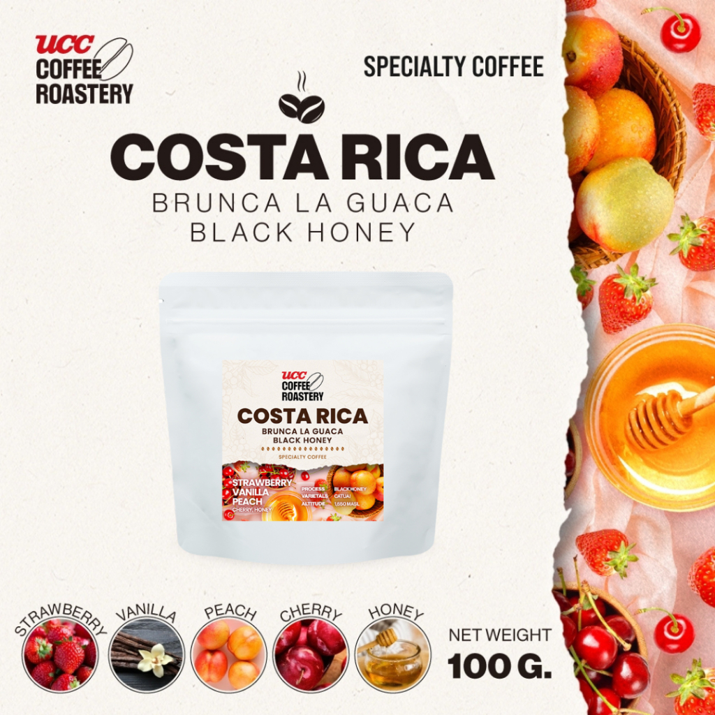 UCC Roastery - COSTA RICA BRUNCA LA GUACA BLACK HONEY (coffee bean) เมล็ดกาแฟคั่วอ่อนค่อนกลาง 100g.