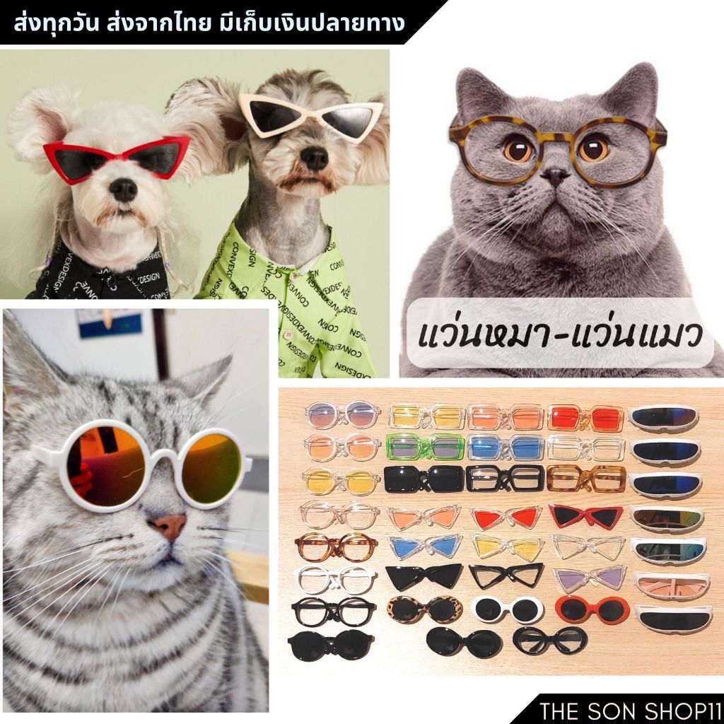 แว่นแมว แว่นสุนัข แว่นตุ๊กตา พร้อมส่งจากไทย เก็บเงินปลายทางได้