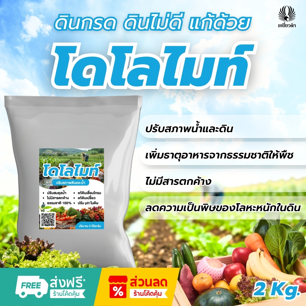 โดโลไมท์ผง 2กก. สารปรับสภาพดิน สารปรับสภาพดน้ำ ปรับ pH ดินและน้ำ บำรุงราก ตราเหยี่ยวดำ