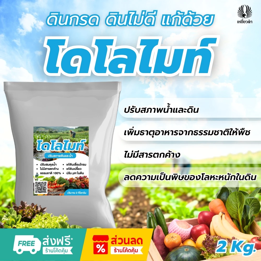 โดโลไมท์ผง 1ถุง ขนาด 2 กก. สารปรับสภาพดิน สารปรับสภาพดน้ำ ปรับ pH ดินและน้ำ บำรุงราก ตราเหยี่ยวดำ