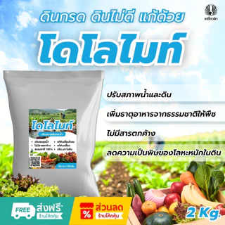 โดโลไมท์ผง 1ถุง ขนาด 2 กก. สารปรับสภาพดิน สารปรับสภาพดน้ำ ปรับ pH ดินและน้ำ บำรุงราก ตราเหยี่ยวดำ