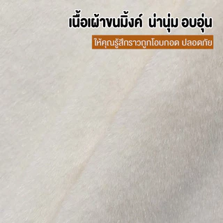Corodi เก้าอี้โซฟา รุ่น SF-51 สไตล์มินินอล เก้าอี้ห้องนั่งเล่น เก้าอี้แต่งหน้า ขนมิ้งค์นุ่มนั่งสบาย