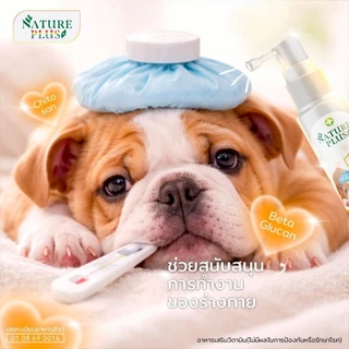 Nature Plus NS ผลิตภัณฑ์เสริมภูมิคุ้มกัน สำหรับสัตว์เลี้ยง