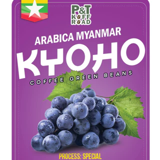 เมล็ดกาแฟดิบ Myanmar Kyoho : Green Bean Myanmar . Special Process บรรจุ 500g. - 1 kg. P&T KoffRoad