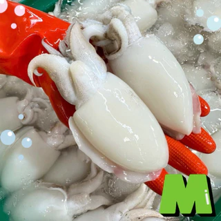 🐙ปลาหมึกกระดองสด+ฟรีน้ำจิ้มซีฟู้ด‼️ปลาหมึกกระดอง 1 กิโลกรัม 🐙 ปลาหมึกสด 🐙 สด สะอาด พร้อมส่งทั่วไทย 🚐