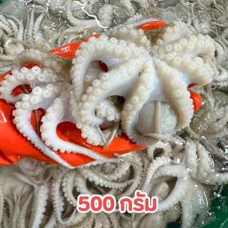 ‼️ปลาหมึกสายสดไซส์ 15-20 ตัวโล🐙 สด สะอาด พร้อมส่งทั่วไทย 🚐