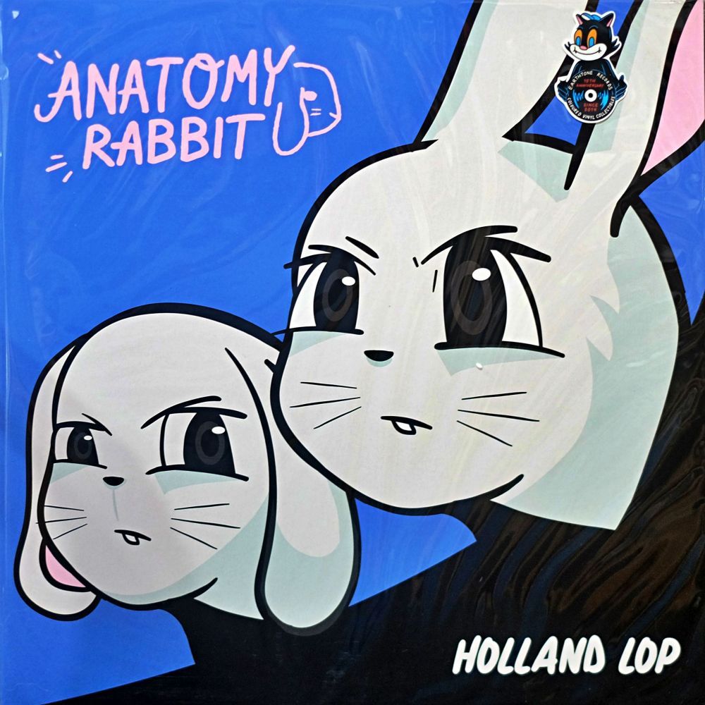 Anatomy Rabbit - Holland Lop (White&Blue Mixed Vinyl)