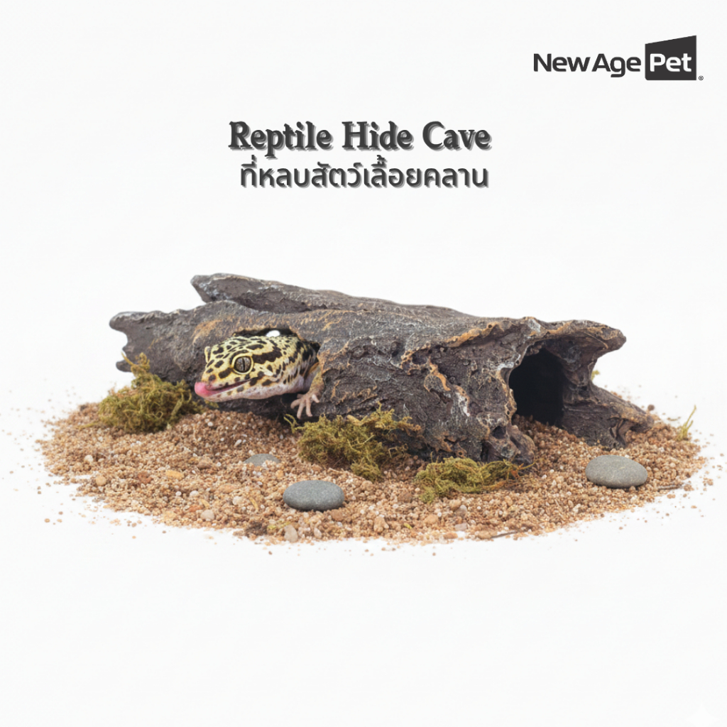 NEW AGE PET ถ้ำหลบสัตว์เลื้อยคลาน ลายไม้ธรรมชาติ | ที่ซ่อน Gecko / กิ้งก่า | ตกแต่งตู้เลี้ยง