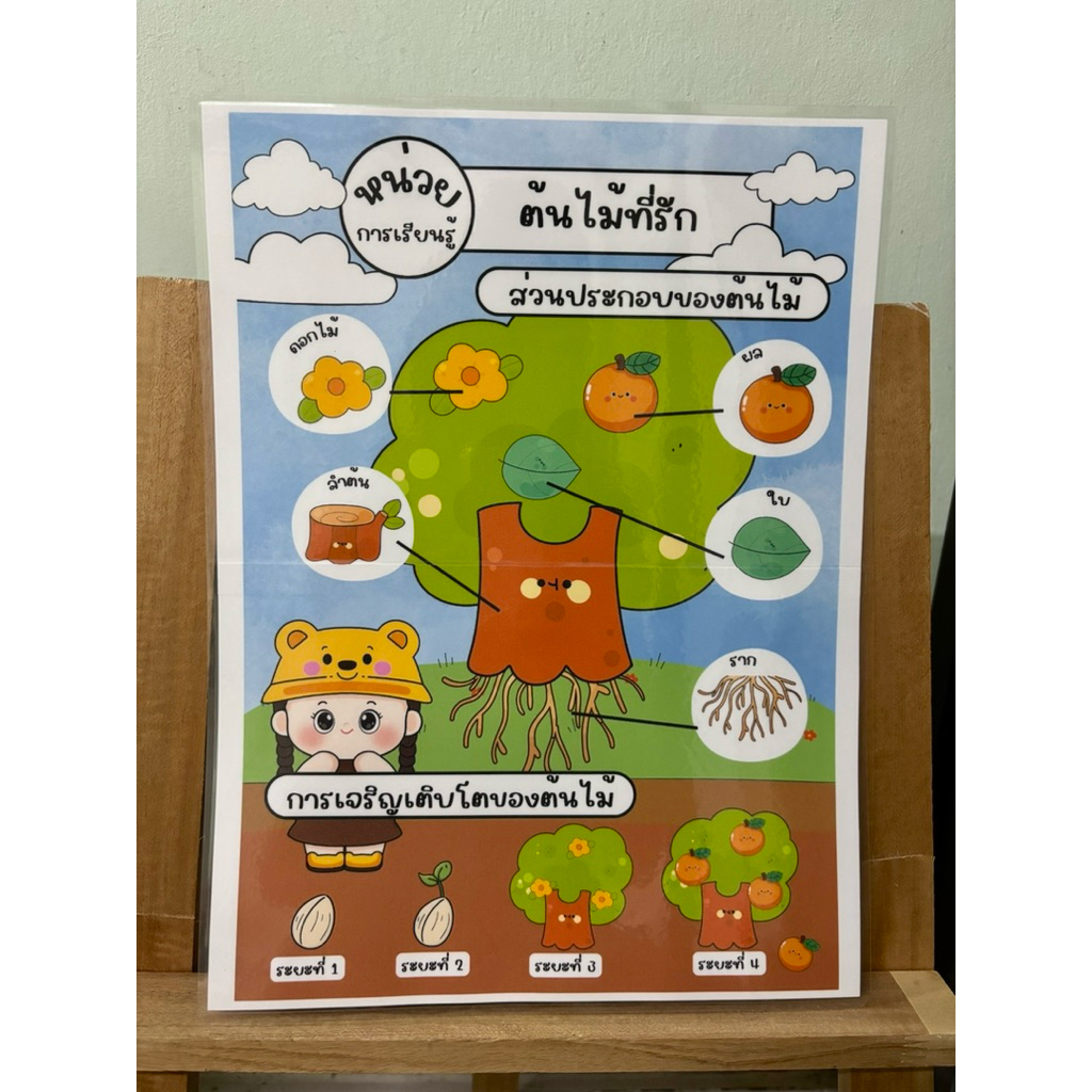 ป้ายนิเทศปฐมวัย เรื่อง ต้นไม้ที่รัก ขนาด A3