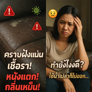 ✨สเปรย์บำรุงหนัง สูตรธรรมชาติ ✨ ทำความสะอาดและป้องกันเชื้อรา ใช้ได้กับกระเป๋า รองเท้า เบาะรถ และโซฟา ปลอดภัย ไม่กัดสี