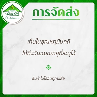ข้าวตูมะพร้าวอ่อน เพชรพร บ้านขนมนันทวัน ข้าวตู