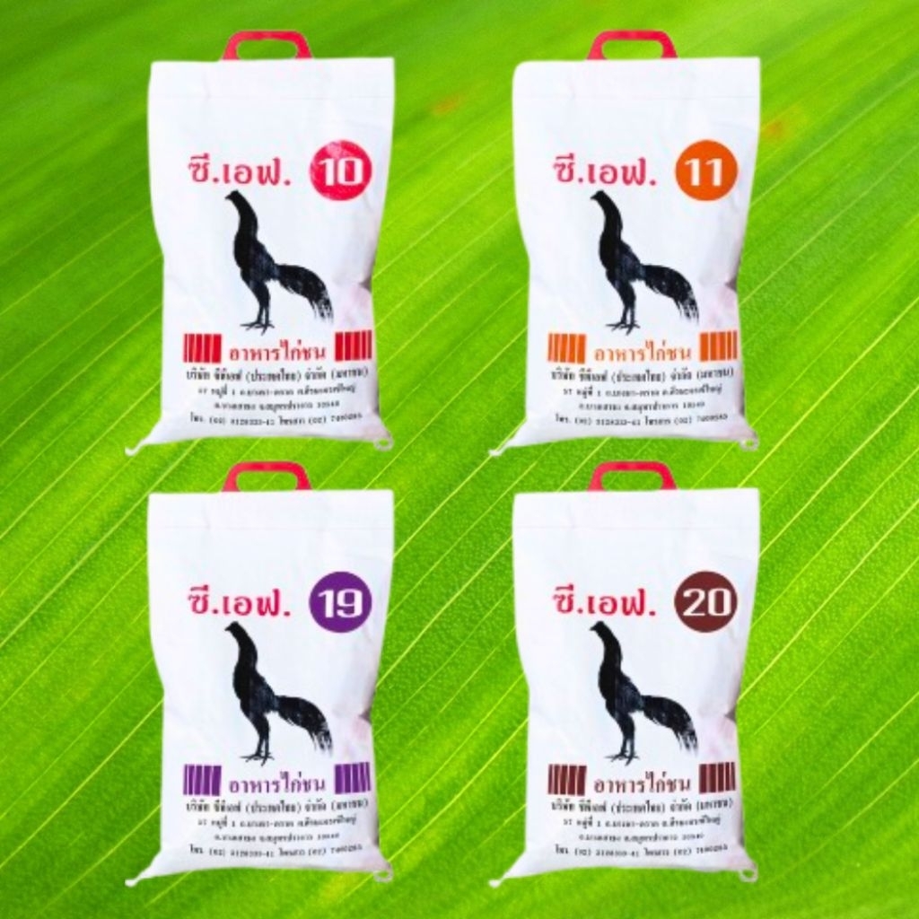 อาหารไก่ชน ซี.เอฟ. (CF) สูตรคุณภาพมีให้เลือก 4 สูตร เบอร์ 19 และ 20และ11และ10 ขนาด 5 kg อาหาร ไก่ชน