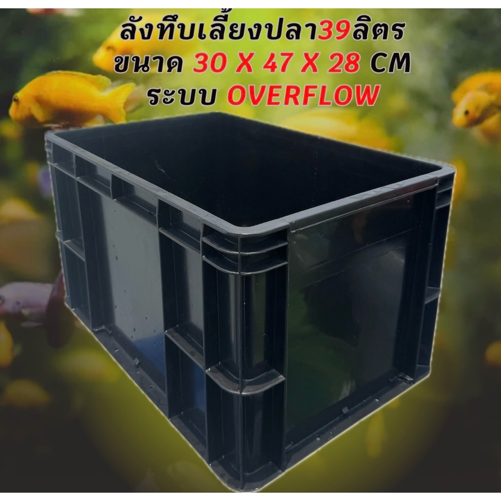 ลังทึบเลี้ยงปลาสีดำ 39 ลิตร ระบบoverflow อ่างเปล่า อ่างเลี้ยงปลา ลังทึบเลี้ยงปลา อ่างเปล อ่างปลาบอลล