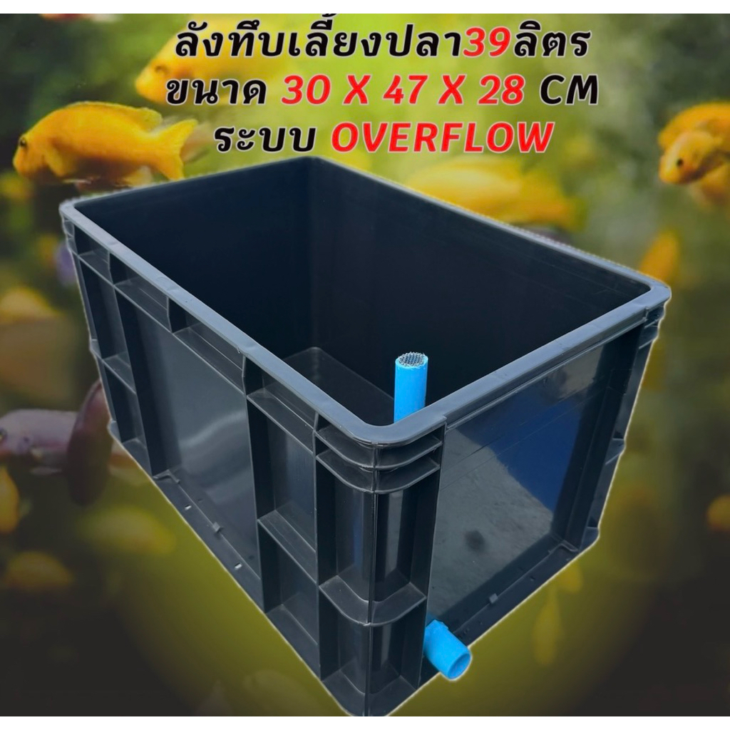 ลังทึบเลี้ยงปลาสีดำ 39 ลิตร ระบบoverflow ท่อเดียวฟ้า อ่างเลี้ยงปลา ลังทึบเลี้ยงปลา อ่างเปล อ่างปลาบอ