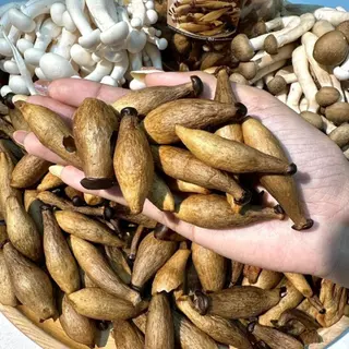 ถังใหญ่300g. เห็ดชิเมจิอบกรอบ มีให้เลือก5รสชาติ กรอบอร่อย เคี้ยวเพลิน ตุ๊กกี้ตัวแสบ
