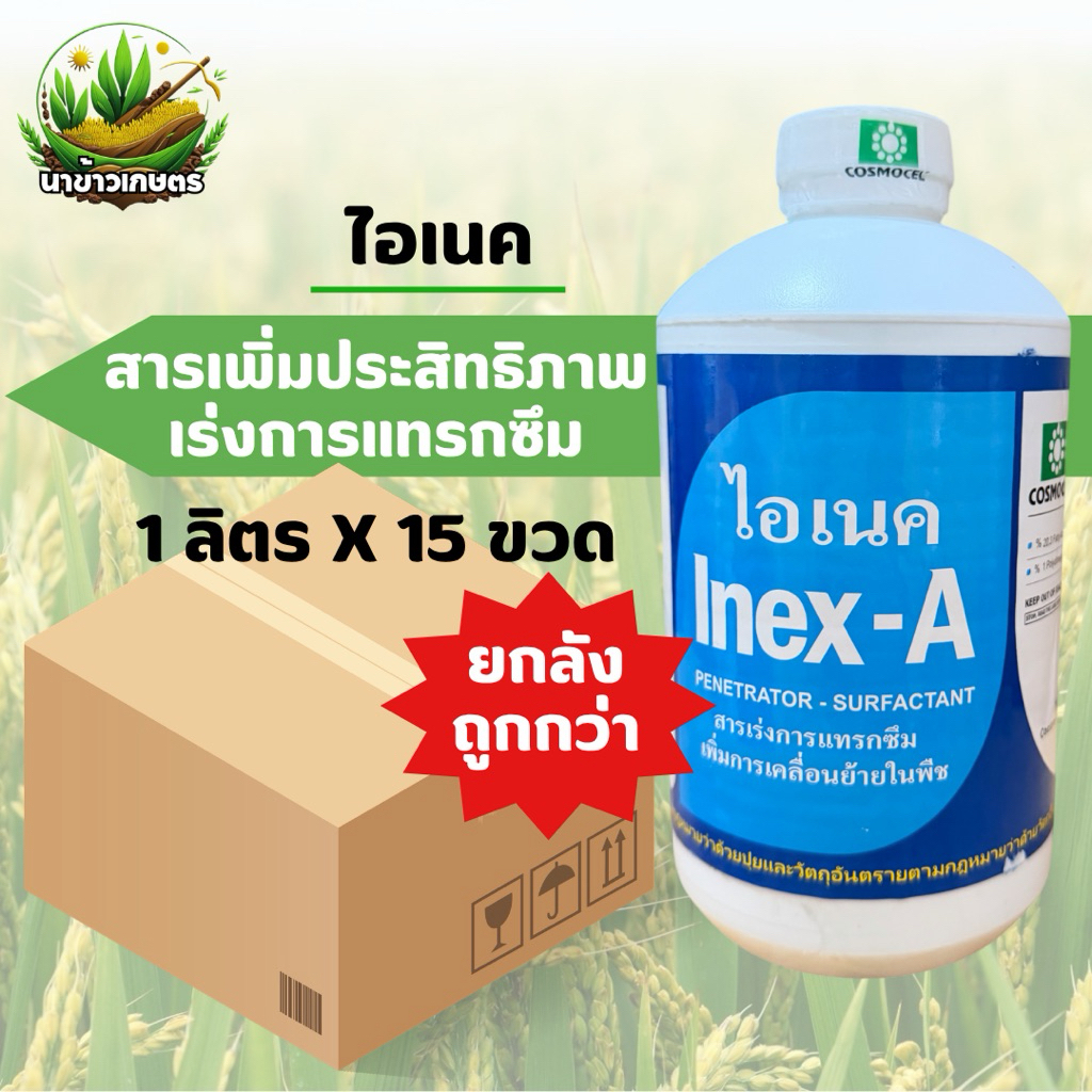 ยกลัง Inex-A ไอเนค 1ลิตร สารเพิ่มประสิทธิภาพ สารเร่งการแทรกซึม ลดการเกิดฟอง