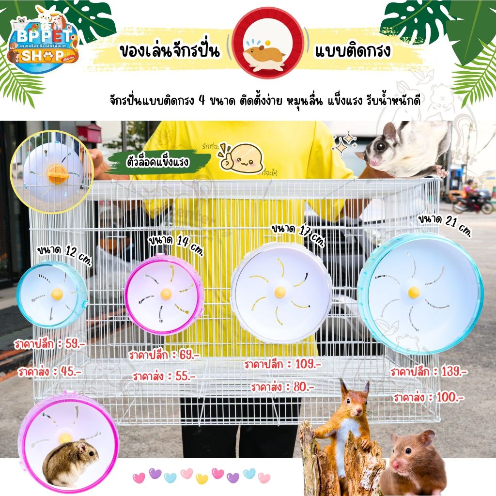 จักรปั่นหนูแฮมสเตอร์ ชูก้าร์ไกลเดอร์ กระรอก ของเล่นหนูแฮมสเตอร์ จักรปั่นติดกรง ของเล่นสัตว์เล็ก