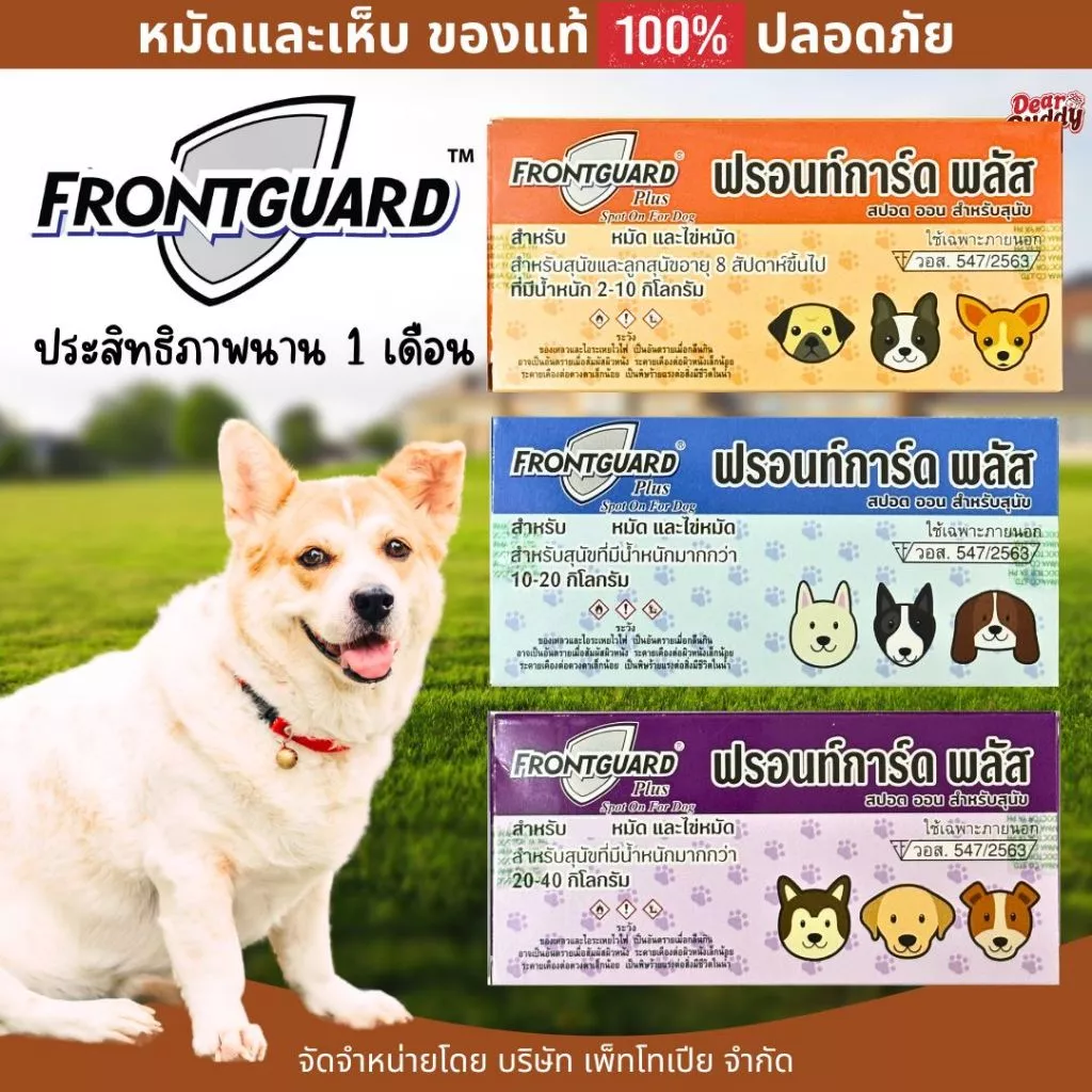 Frontguard Plus สำหรับสุนัข ผลิตภัณฑ์กำจัดหมัดและไข่หมัด ไม่เป็นอันตรายต่อสัตว์เลี้ยง