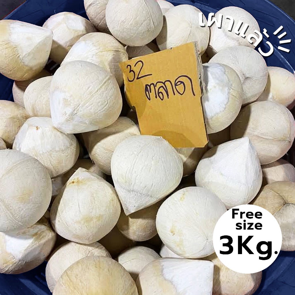🔥 คุ้มสุด 3 KG👑 มะพร้าวเผา 2-3 ลูก/กก.🥥 มะพร้าวกินได้เลย📦คัดแล้วทุกลูก