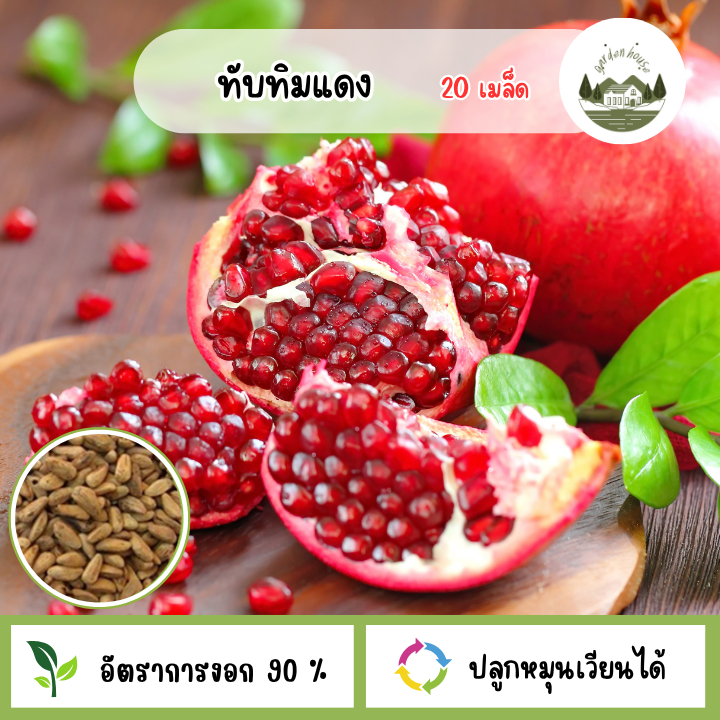 เมล็ดพันธุ์ทับทิมแดงสยาม 100 เมล็ด