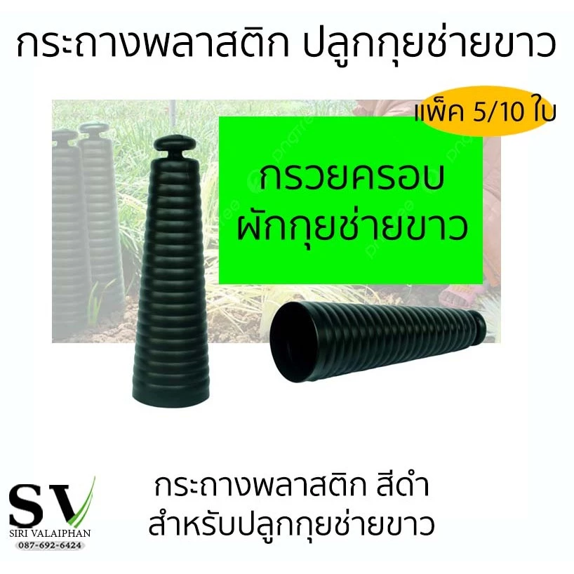 กรวยครอบผักกุยช่าย แพ็ค 5/10 กรวย กระถางครอบผักกุยช่ายขาว กระถางพลาสติก สำหรับปลูกกุยช่ายขาว