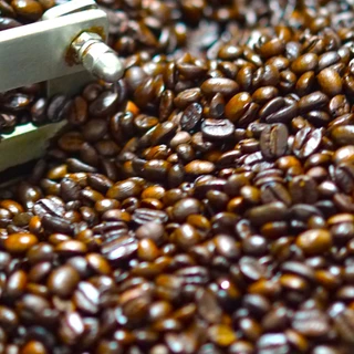 เมล็ดกาแฟคั่วอ่อน 'แจ้ซ้อน' จ.ลำปาง 72Hr. Fermentation ขนาด 100-200g เบอร์รี่ สับปะรด มะละกอ ขนุน