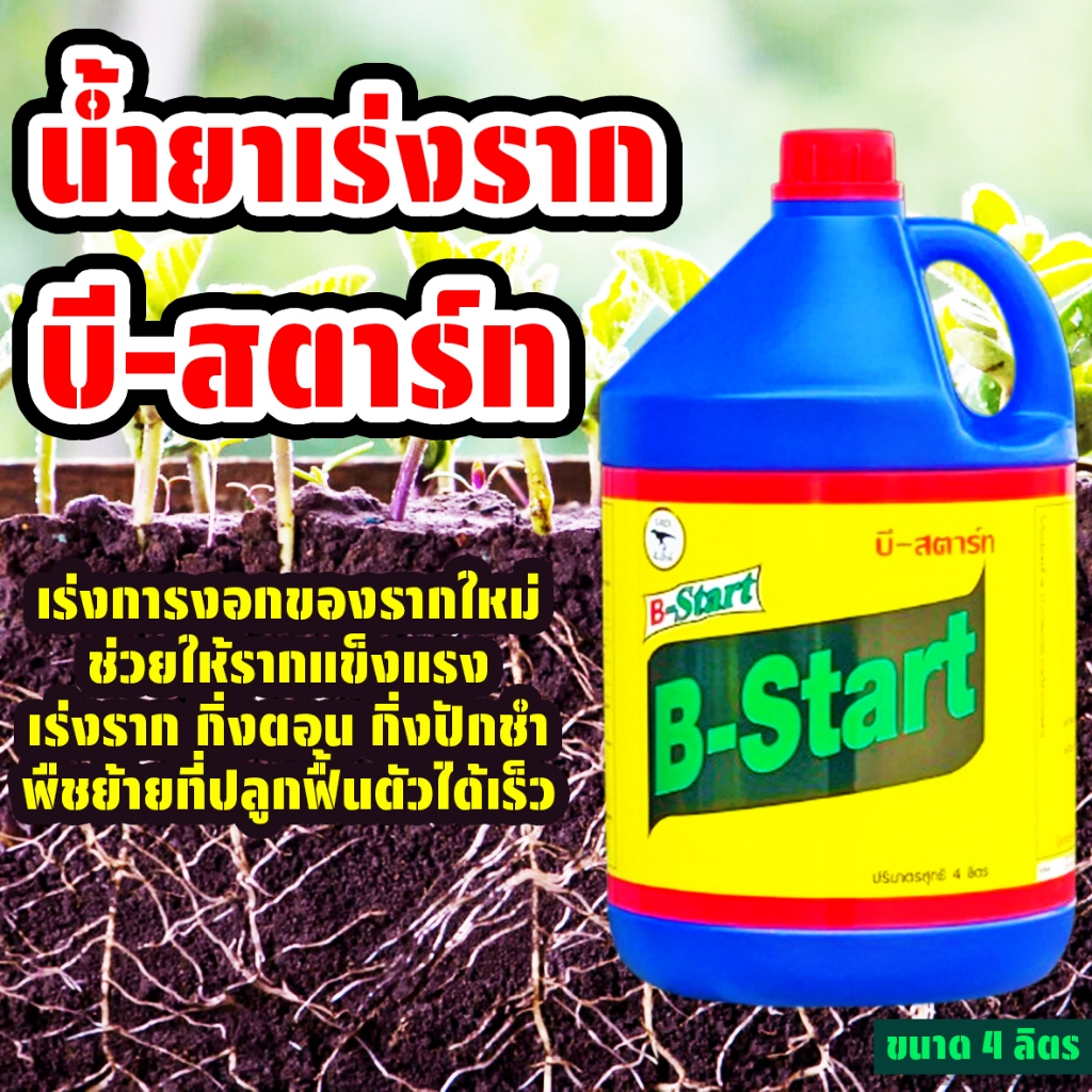 น้ำยาเร่งราก ทีเร็กซ์ ขนาด 4 ลิตร บีวัน-สตาร์ท เร่งราก เพิ่มราก ช่วยให้รากแข็งแแรง