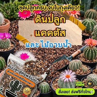 ดินปลูกกระบองเพชร แคคตัส ไลทอป ไม้อวบน้ำ สูตรโปร่ง ระบายน้ำดี สำหรับเพาะปลูก พร้อมใช้ ขนาด 1 กก.