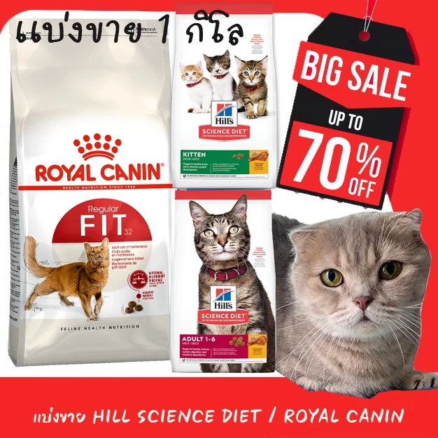 🍖แบ่งขาย 1KG🍖 Royal Canin Fit 32 | Indoor & Baby Cat | Hill’s Science Diet ลูกแมว-โต 1-6 ปี อาหารแมวเม็ด