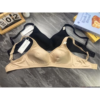 NBF25002 - Sabina เสื้อชั้นใน ไร้โครง ฟองบางรุ่น Function Bra มีไซต์ใหญ่ถึง อก 44นิ้ว