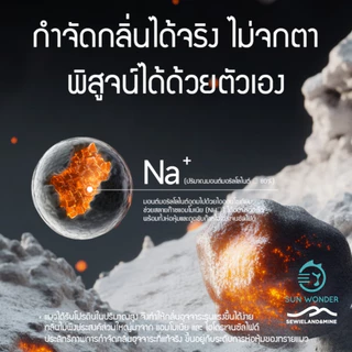 ทรายแมวแร่โซเดียมอิออน (NA+ Cat Litter) DIY ผสมสูตรด้วยตัวคุณเอง กล่องละ 6 ลิตร