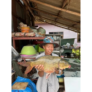 เหยื่อตกปลาโพไซดอน สูตร1 ตกหน้าดิน ชิงหลิว ตกหมายธรรมชาติ หมายบ่อ มี 2 ขนาด 800g และ 2500g